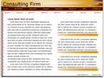 consulting services template 3