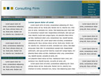 consulting services template 4