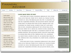 financial services template 7